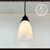 Clear And Frost Fan Ribbed Scallop Pendant Light/Wall Sconce