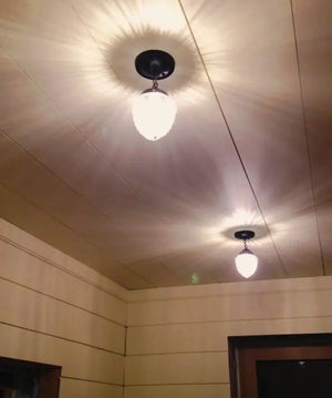 Antique glass ceiling lights illuminating a paneled room.