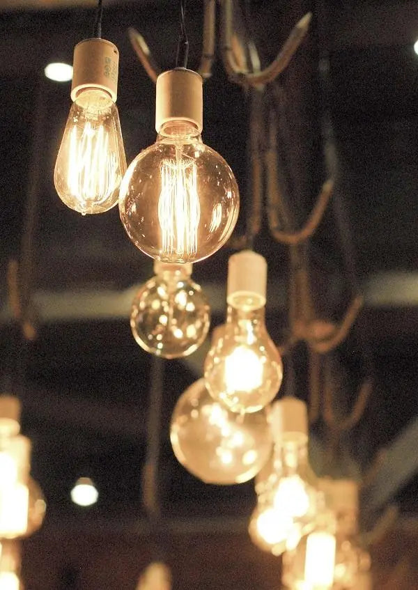 Rustic Light Bulbs & Installation Kits