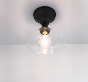 Simple Clear Dome Exposed Socket Ceiling Light