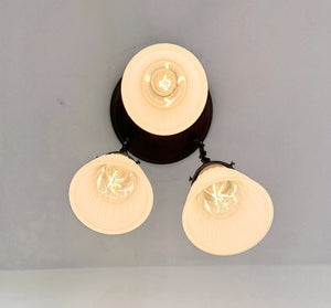 Frosted Vintage Holophane Ceiling Light Trio - The Lamp Goods