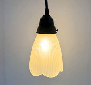 Frosted Holophane Scallop Pendant