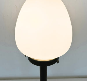 Classic Frosted Egg Globe Table Lamp