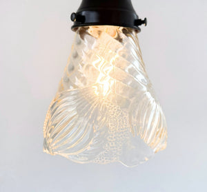 Clear Floral Ribbed Shell Pendant Light - The Lamp Goods