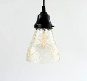Clear Floral Ribbed Shell Pendant Light - The Lamp Goods