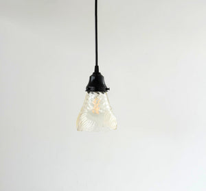 Clear Floral Ribbed Shell Pendant Light - The Lamp Goods