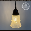 Clear Leaf Drape Frosted Holophane Pendant