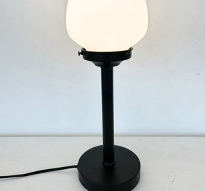 Classic Frosted Egg Globe Table Lamp
