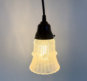 Clear Leaf Drape Frosted Holophane Pendant