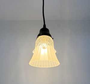 Clear Leaf Drape Frosted Holophane Pendant