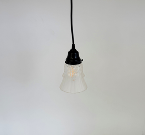 Clear Leaf Drape Frosted Holophane Pendant