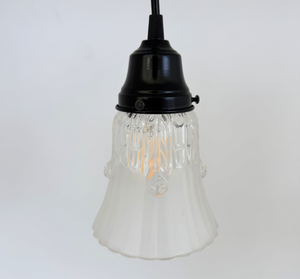 Clear Leaf Drape Frosted Holophane Pendant