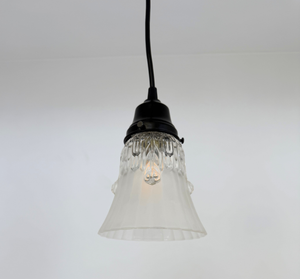 Clear Leaf Drape Frosted Holophane Pendant