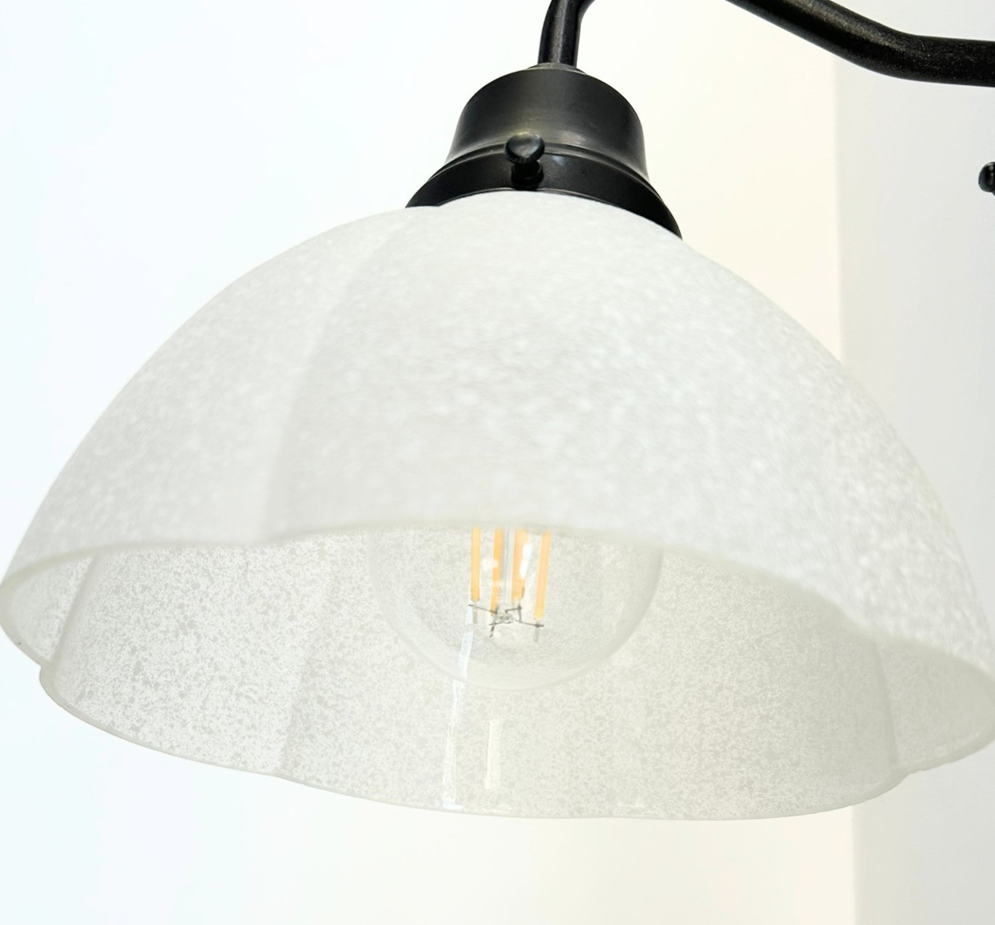 Frosted Texturized White Flower Wall Sconce