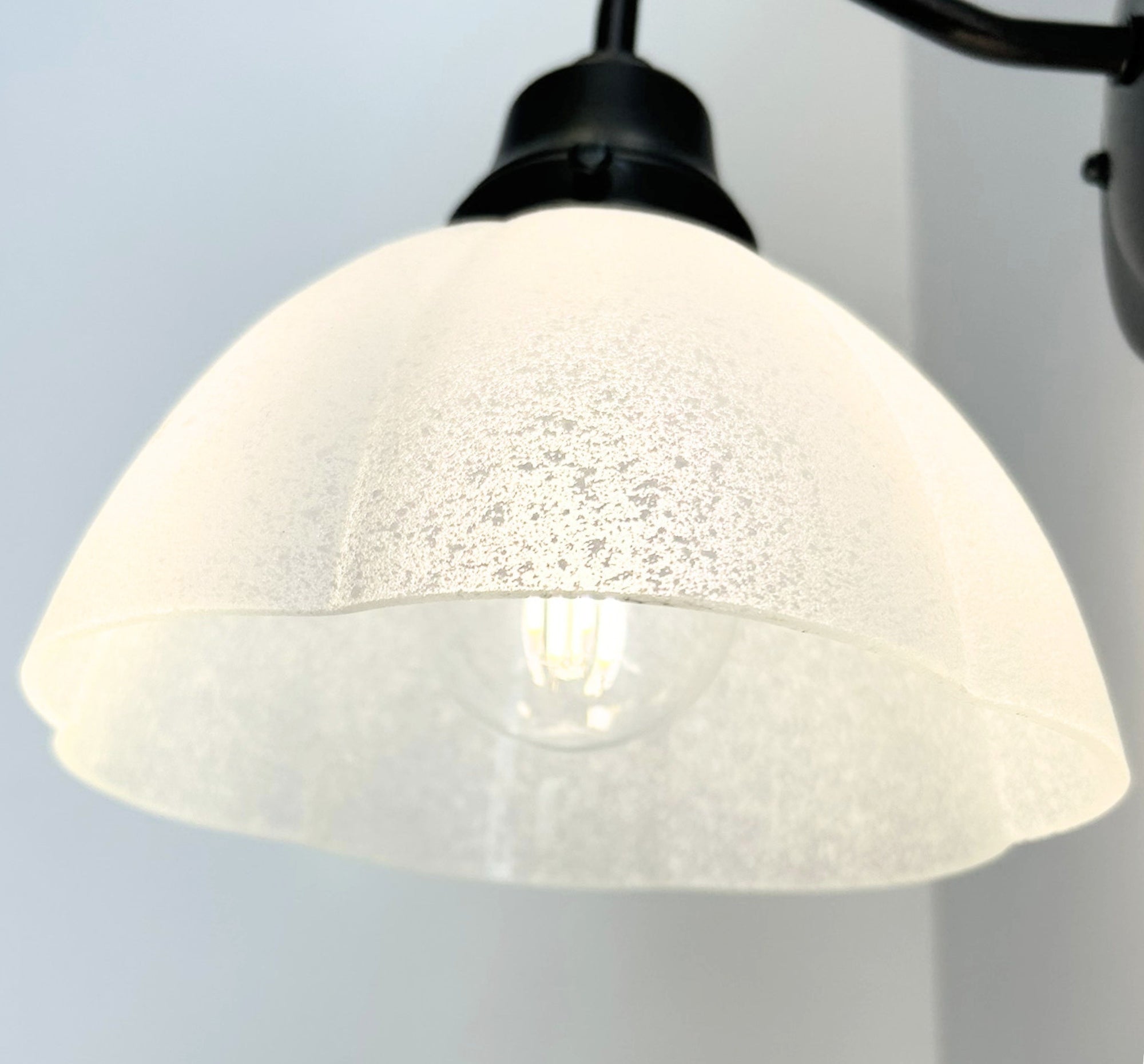 Frosted Texturized White Flower Wall Sconce