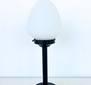 Classic Frosted Egg Globe Table Lamp