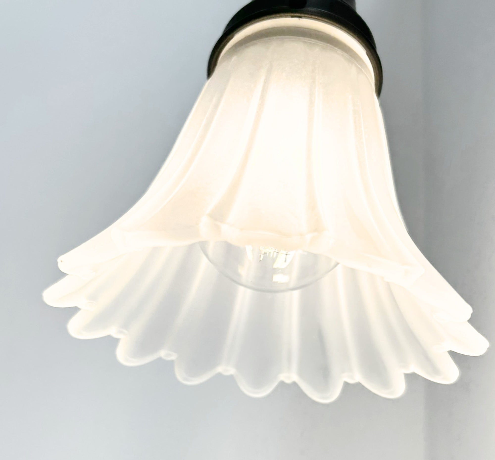 Frosted Petal Flare Wall Sconce