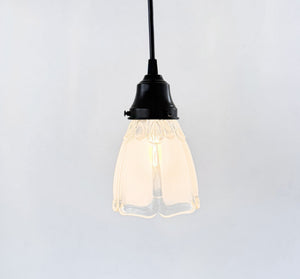 Frosted Panel Clear Leaf Rim Pendant Light | 5" Width