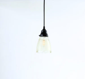 Frosted Panel Clear Leaf Rim Pendant Light | 5" Width