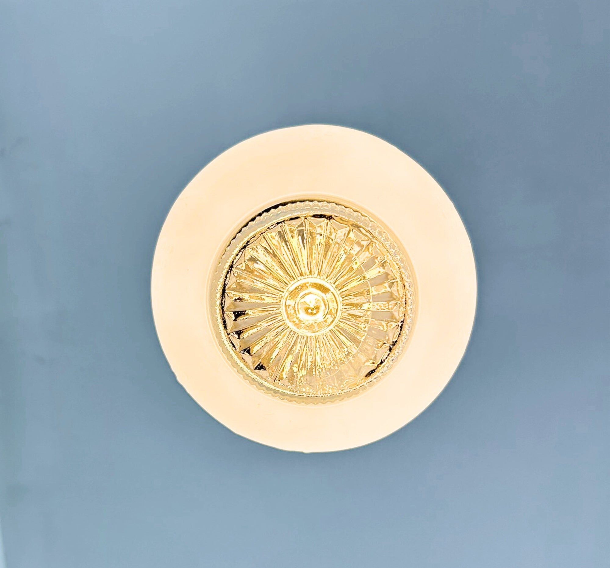 Frosted Embossed Berry Vine Globe Pendant Light