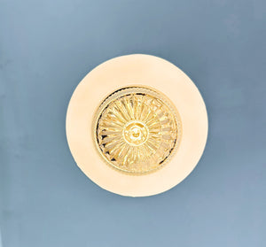 Frosted Embossed Berry Vine Globe Pendant Light