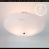 Harvest Sheaf Antique Ceiling Light