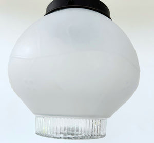 Frosted Embossed Berry Vine Globe Pendant Light