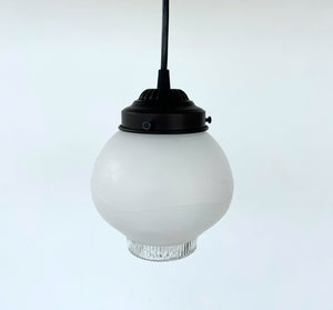 Frosted Embossed Berry Vine Globe Pendant Light