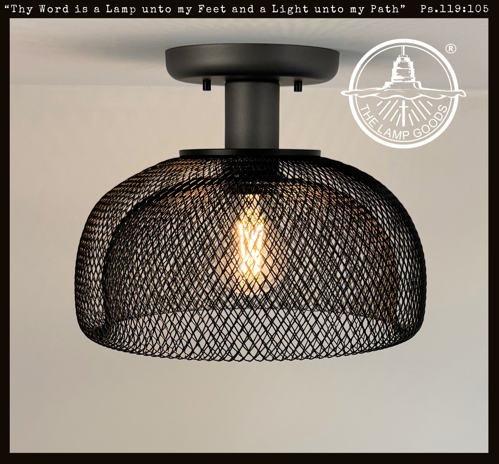 Farmhouse Black Mesh Ceiling Light