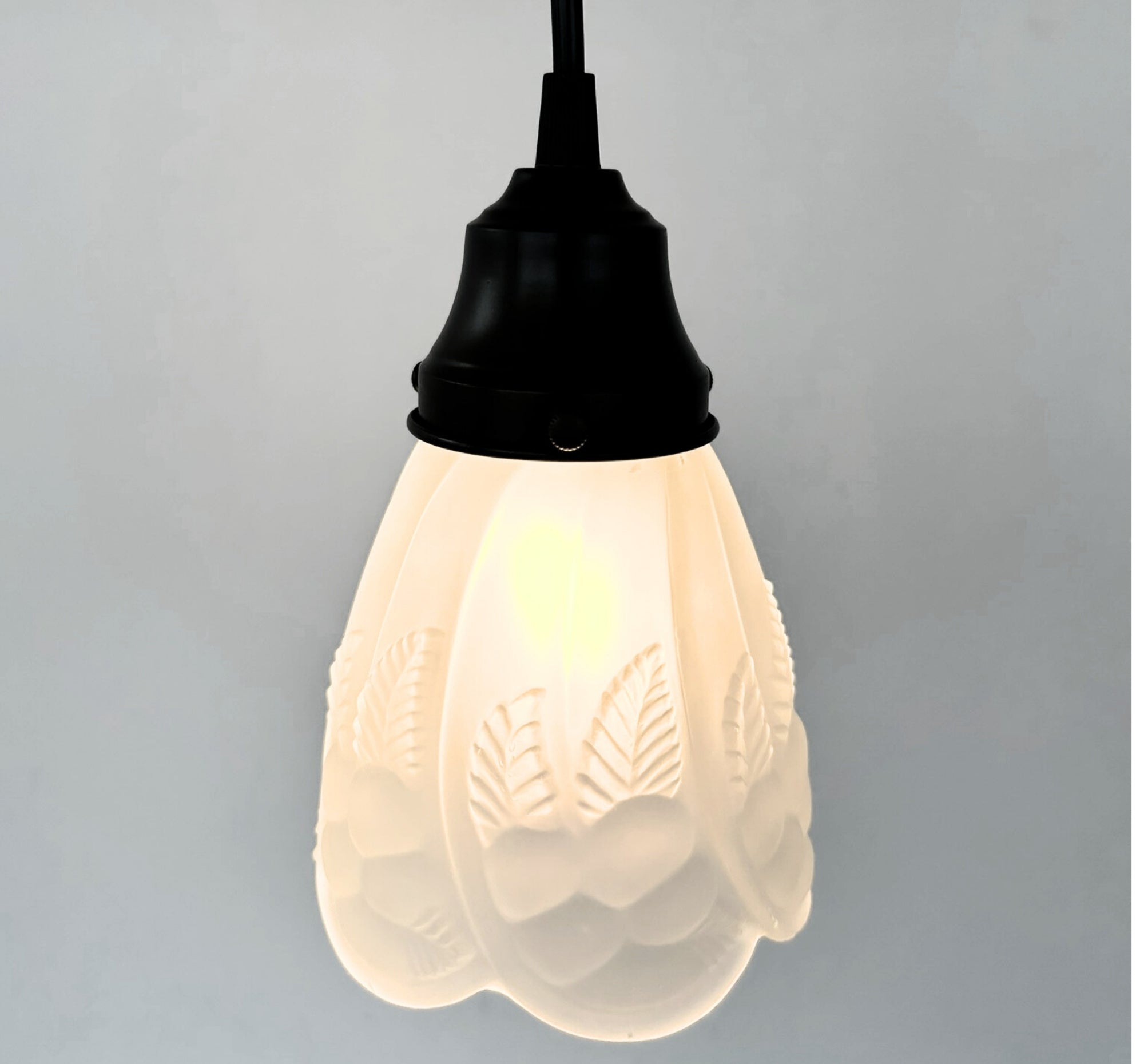 Frosted Embossed Fruit and Leaf Sconce or Pendant