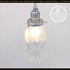 Clear Glass Rose Etched Delicate Pendant Light
