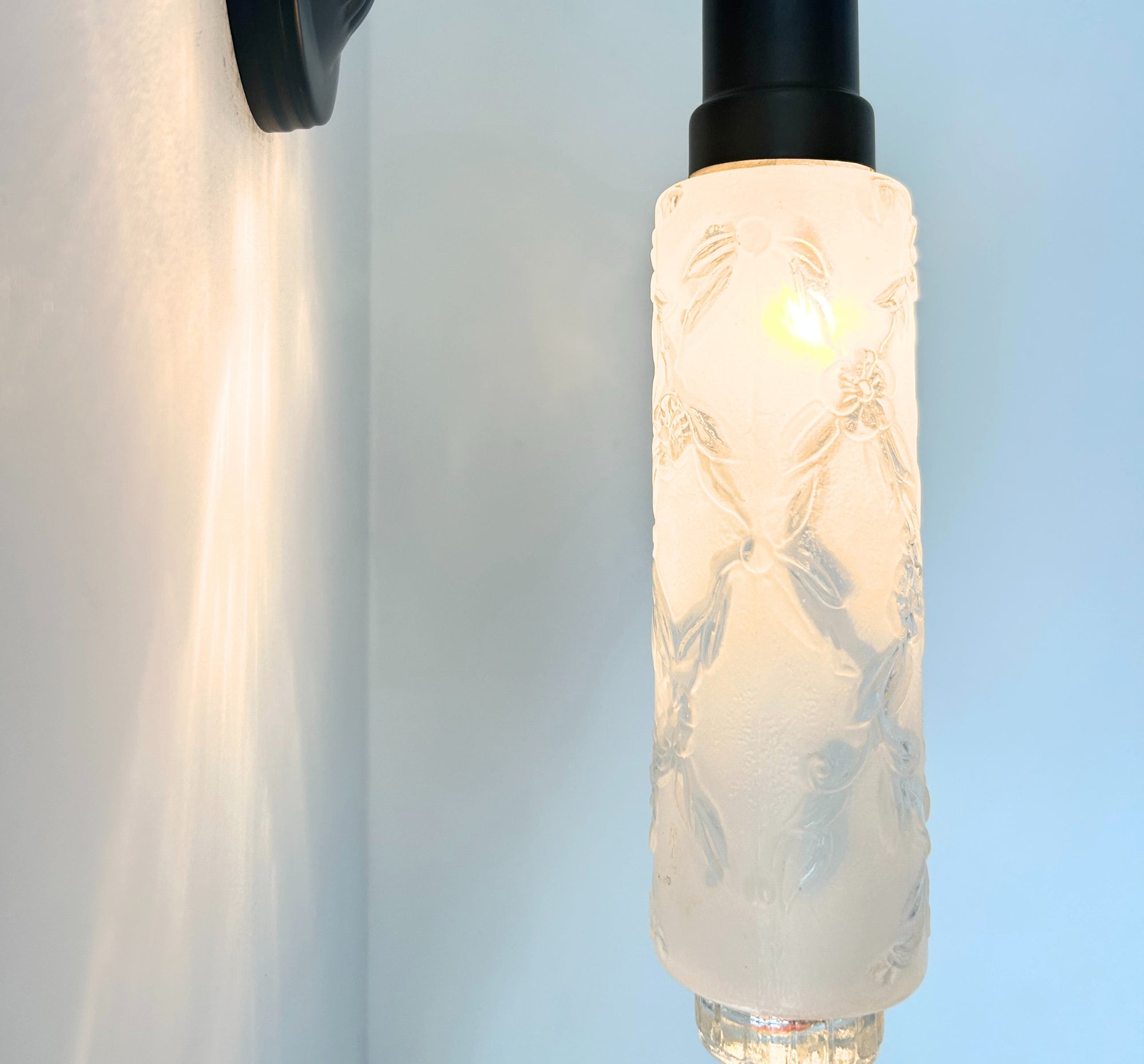 Delicate Narrow Frosted Floral Glass Wall Sconce