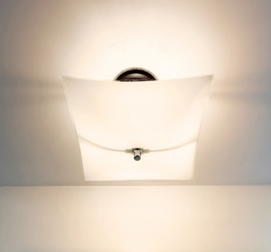 Modern Farmhouse Frosted Glass Bowl Ceiling Light