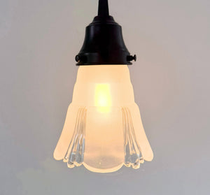 Curtain Drape Clear and Frost Flare Pendant