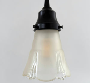 Curtain Drape Clear and Frost Flare Pendant
