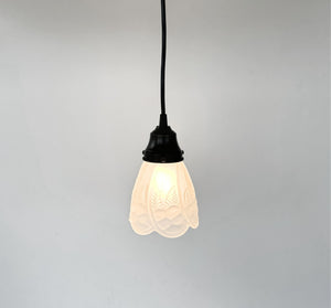 Frosted Embossed Fruit and Leaf Sconce or Pendant