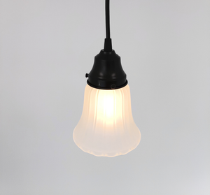Frosted Simple Rib Scallop Edge Pendant Light