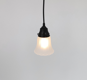 Frosted Simple Rib Scallop Edge Pendant Light