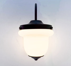 Industrial Farmhouse Gooseneck Wall Sconce