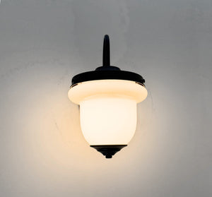 Industrial Farmhouse Gooseneck Wall Sconce