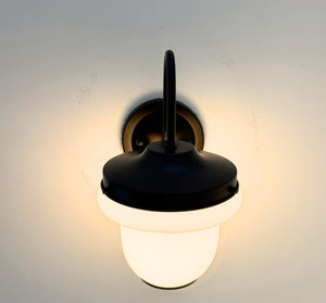 Industrial Farmhouse Gooseneck Wall Sconce