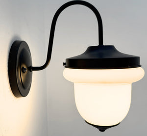 Industrial Farmhouse Gooseneck Wall Sconce