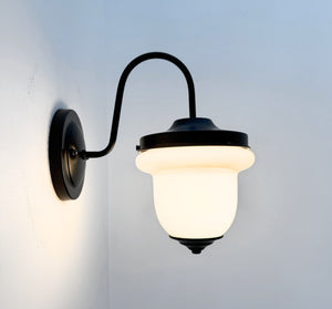 Industrial Farmhouse Gooseneck Wall Sconce