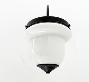 Industrial Farmhouse Gooseneck Wall Sconce