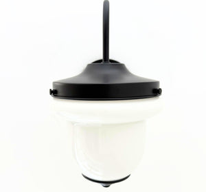 Industrial Farmhouse Gooseneck Wall Sconce