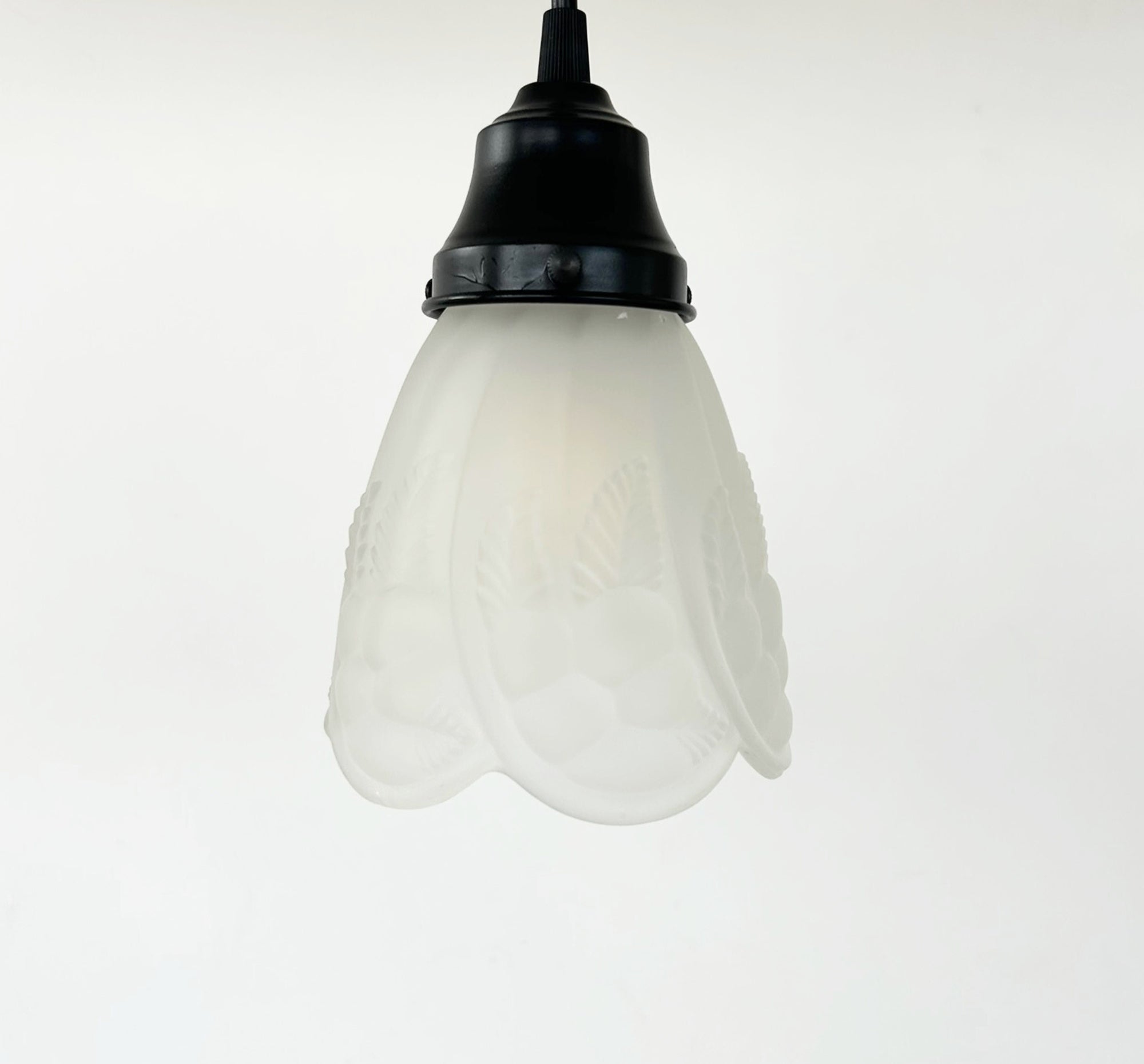 Frosted Embossed Fruit and Leaf Sconce or Pendant