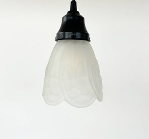 Frosted Embossed Fruit and Leaf Sconce or Pendant