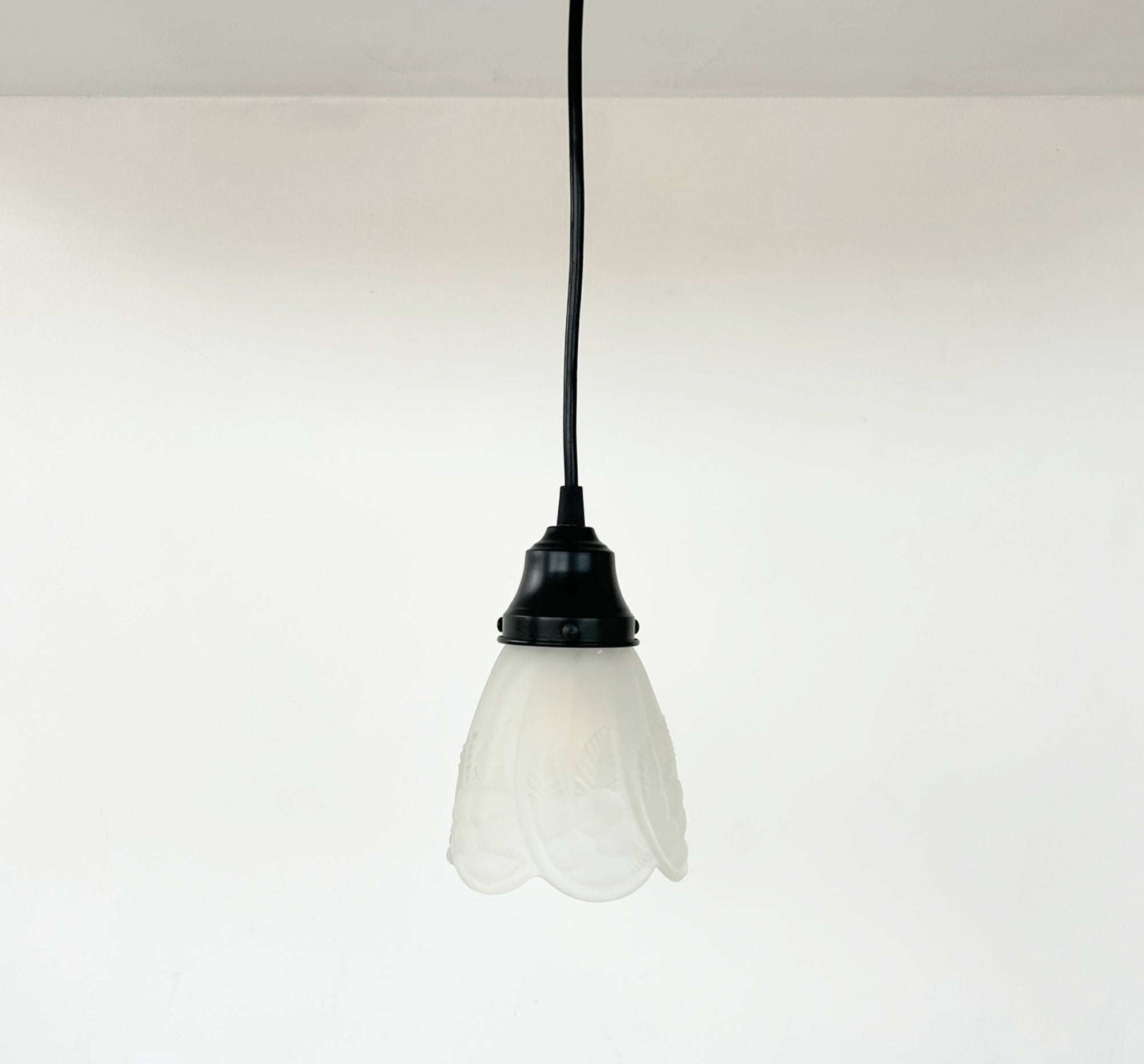 Frosted Embossed Fruit and Leaf Sconce or Pendant