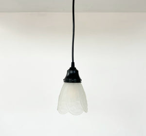 Frosted Embossed Fruit and Leaf Sconce or Pendant