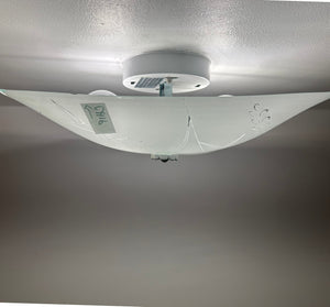 Quiet Harvest Etched Glass Ceiling Light *Note Chip*